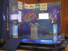 lansari-fime-sau-produs-wattech-systems-13