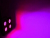 blinder-led